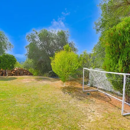 Limoncello Case de vacanță