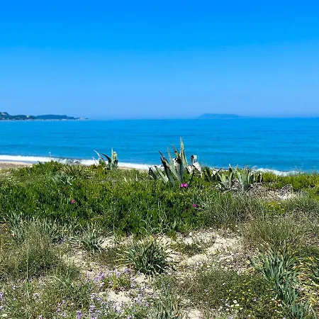 Limoncello Case de vacanță *