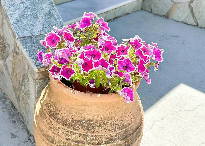 Case de vacanță Limoncello Agrafoi