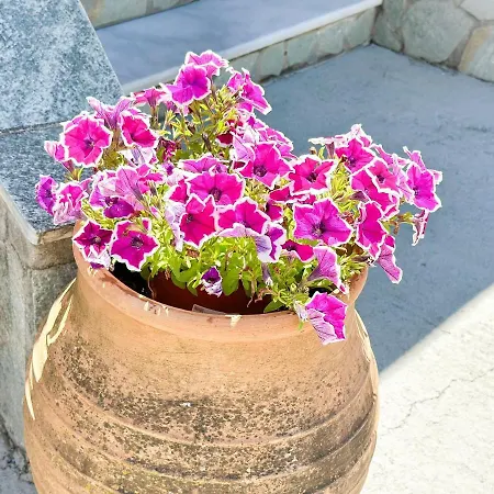 Vakantiehuis Limoncello Agrafoi